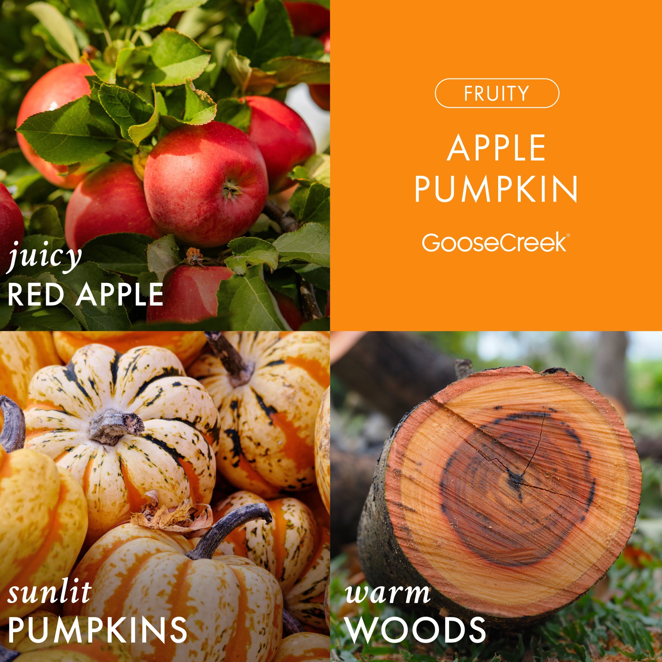Apple Pumpkin 3-Wick Candle - Image 2