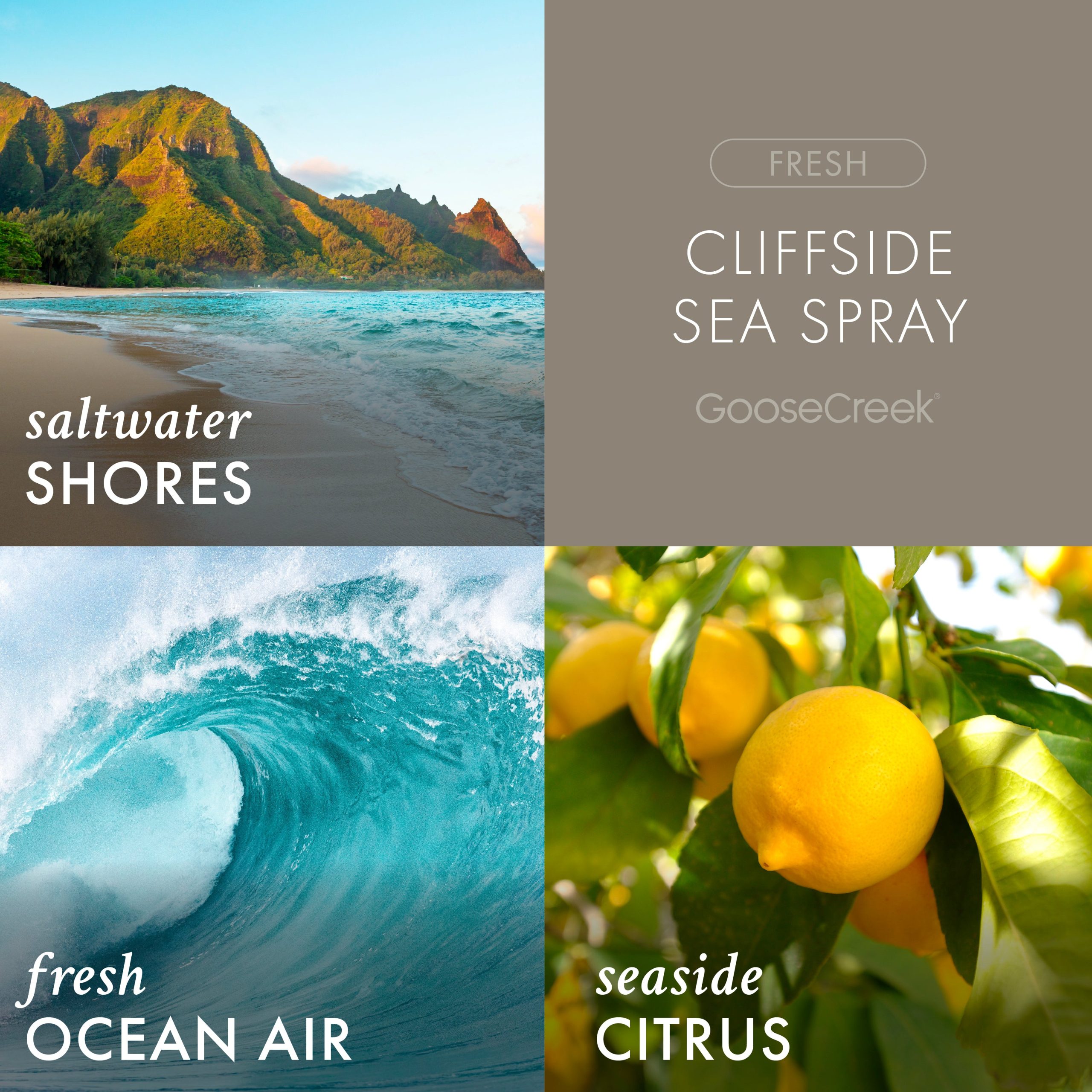 Cliffside Sea Spray Odor Eliminating Wax Melt - Image 2