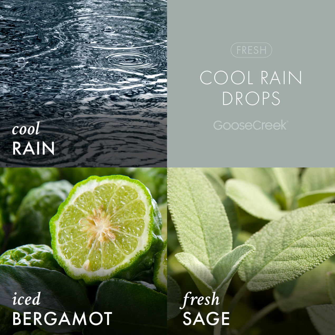 Cool Rain Drops Lush Foaming Hand Soap - Image 2