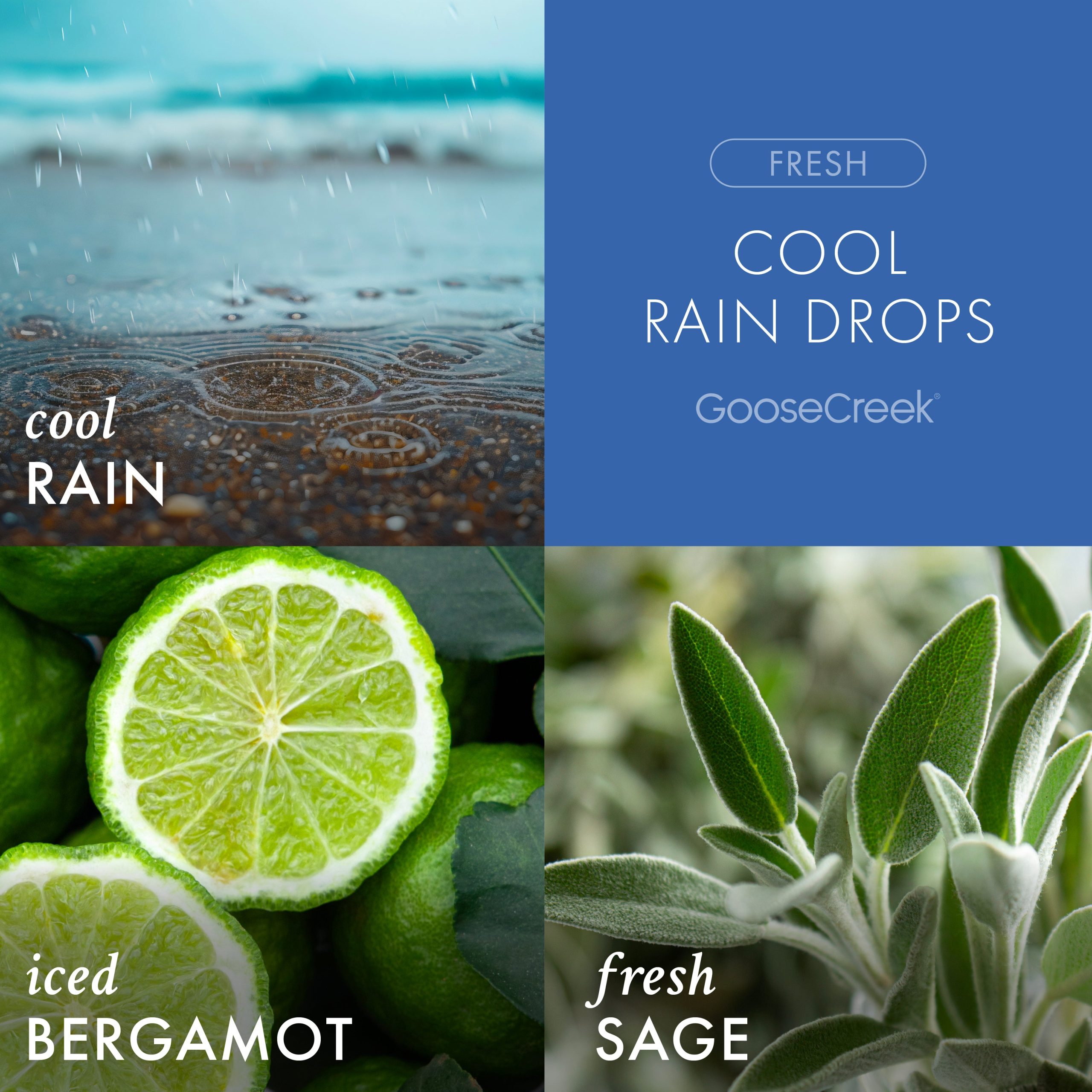 Cool Rain Drops Odor Eliminating Wax Melt - Image 2