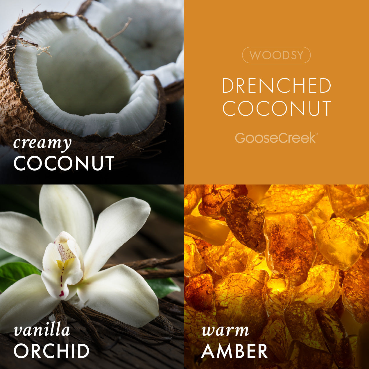 Drenched Coconut Odor Eliminating Wax Melt - Image 2