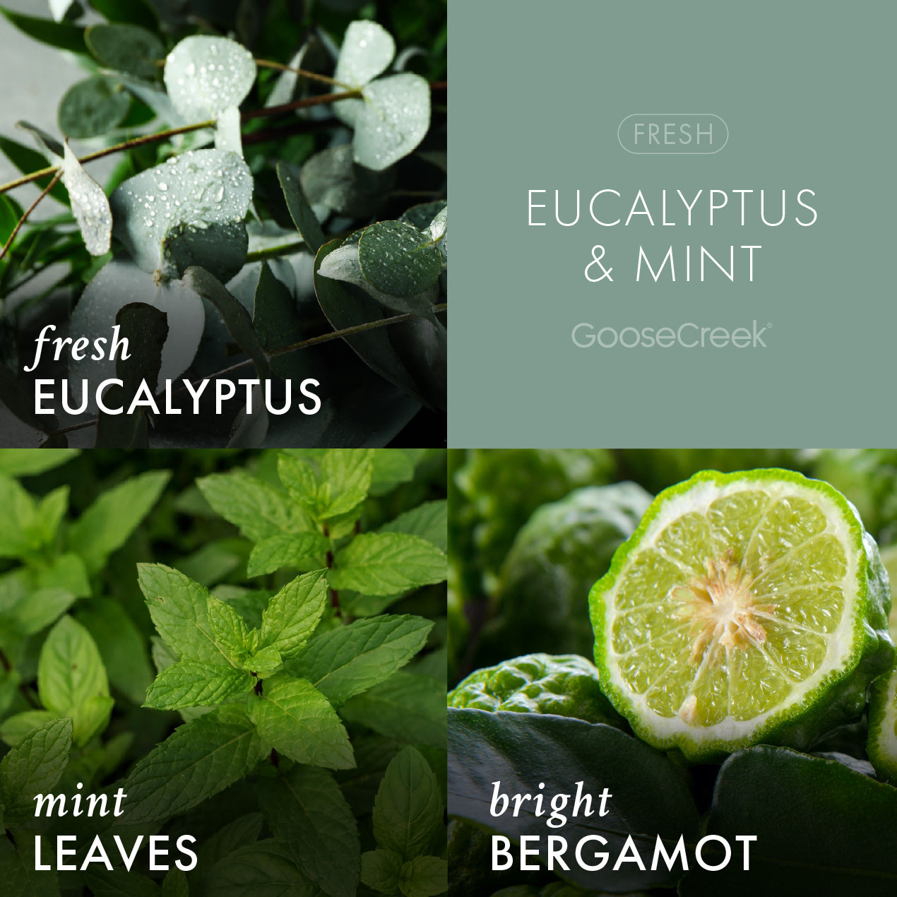 Eucalyptus & Mint Aromatherapy 3-Wick Candle - Image 2
