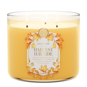 Harvest Hayride 3-Wick Candle