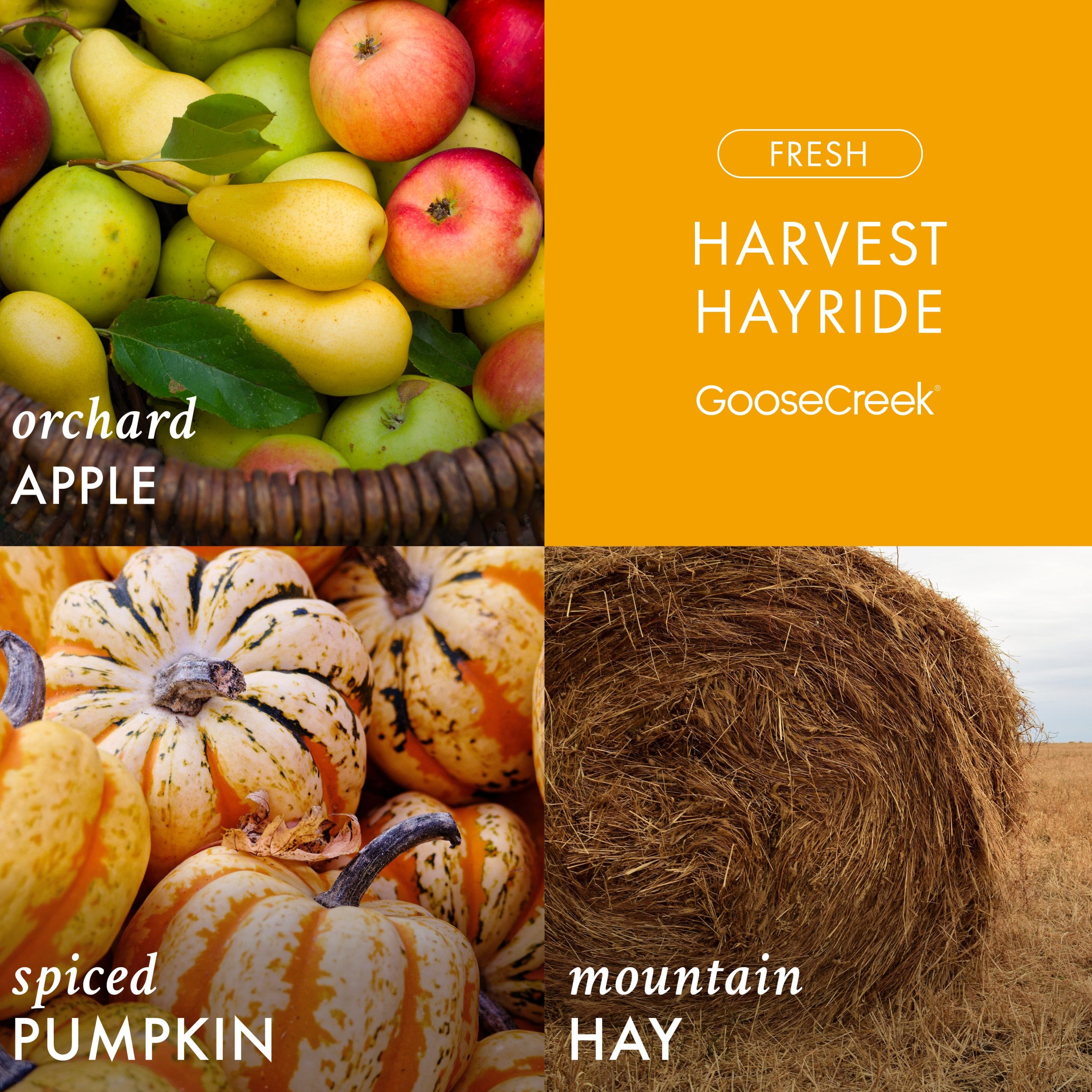 Harvest Hayride Wax Melt - Image 2