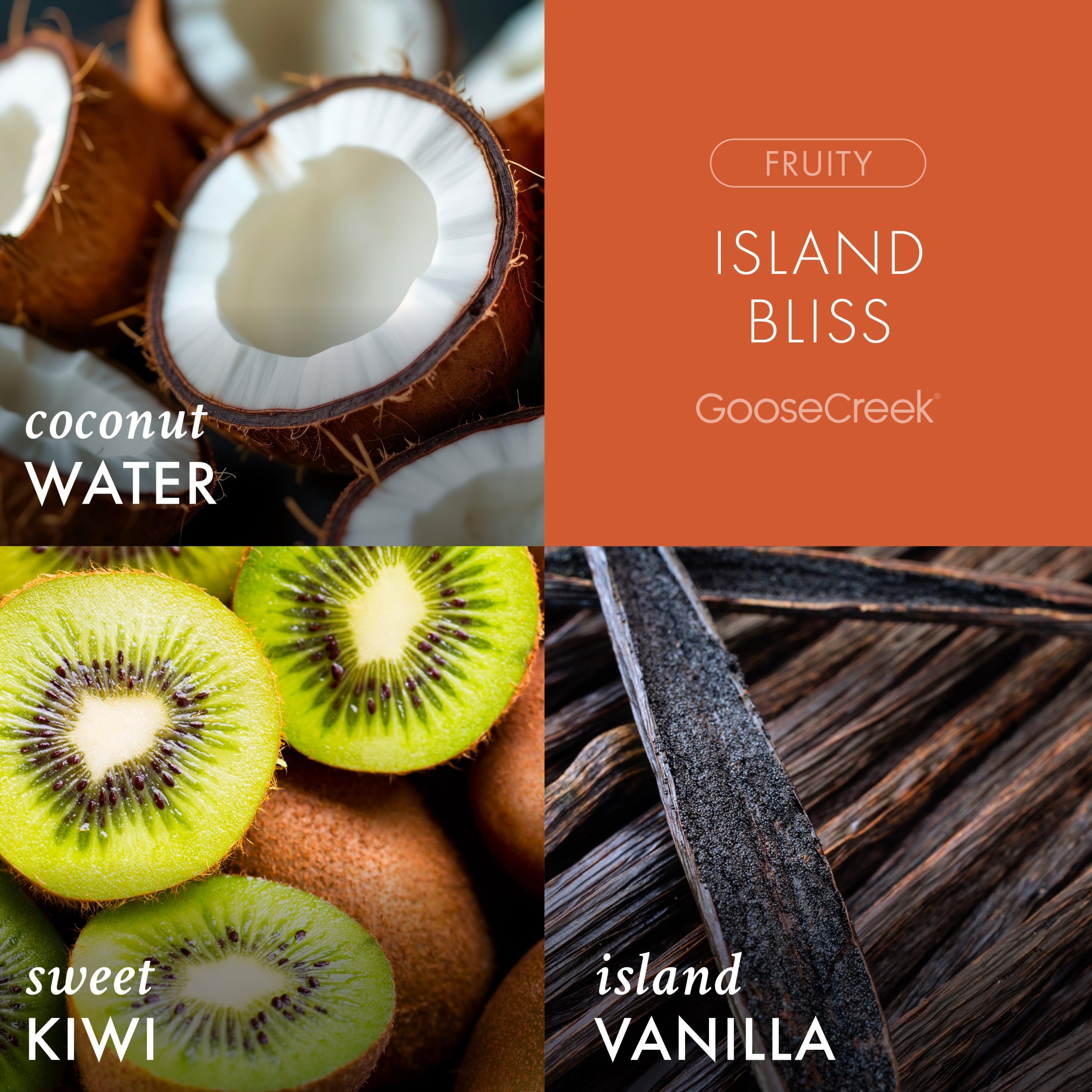 Island Bliss Odor Eliminating 3-Wick Candle - Image 2