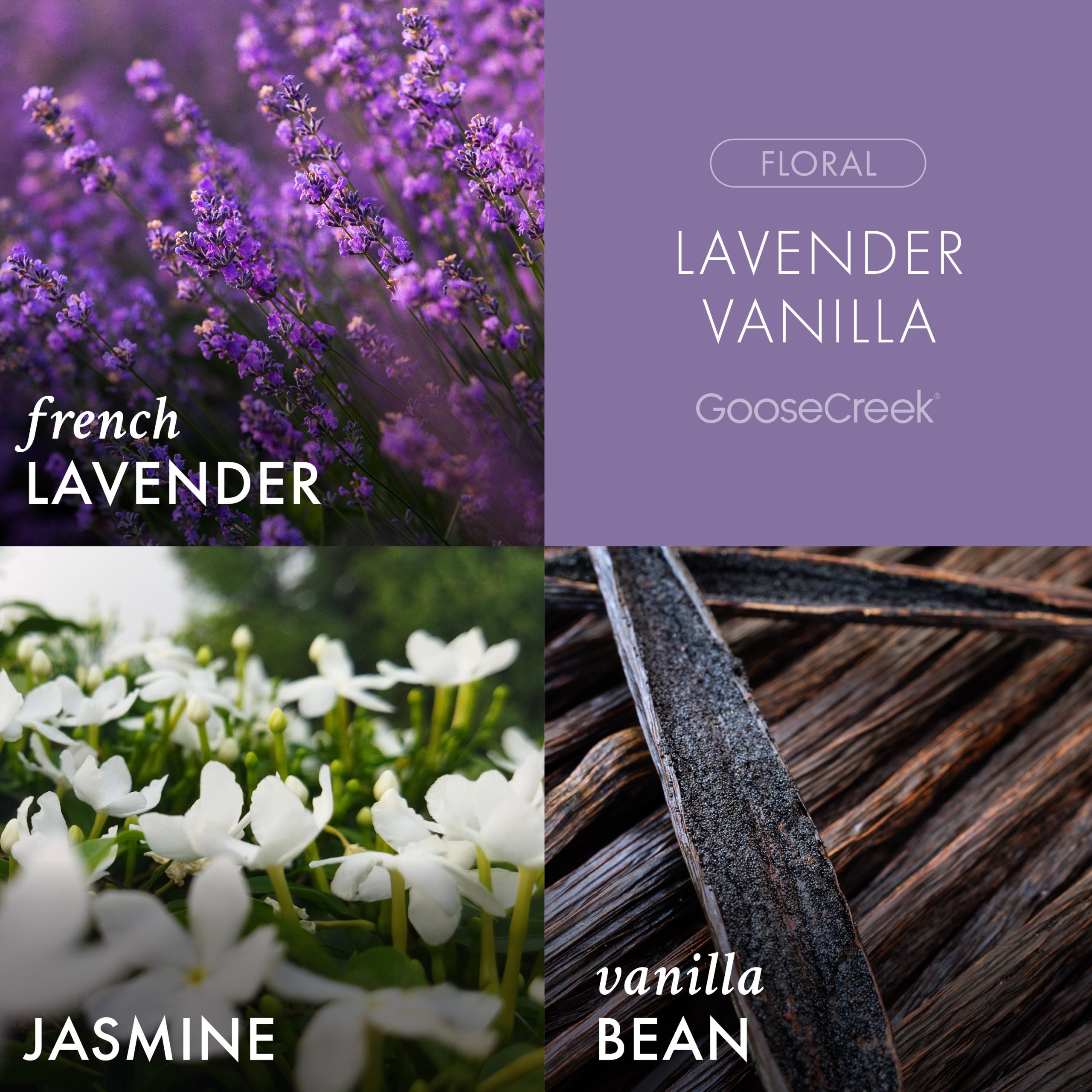 Lavender Vanilla Lush Foaming Hand Soap - Image 2