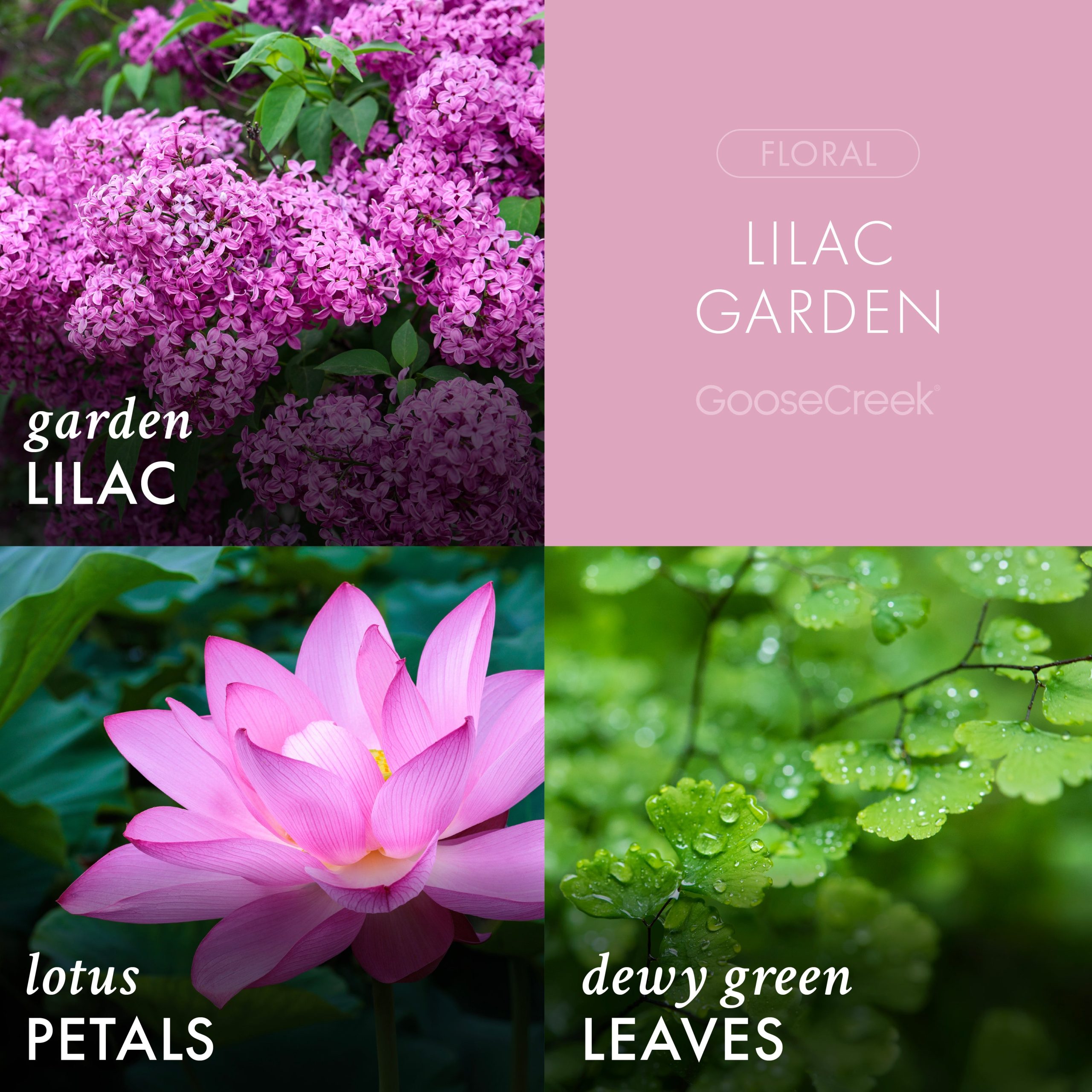 Lilac Garden 3-Wick Candle - Image 2