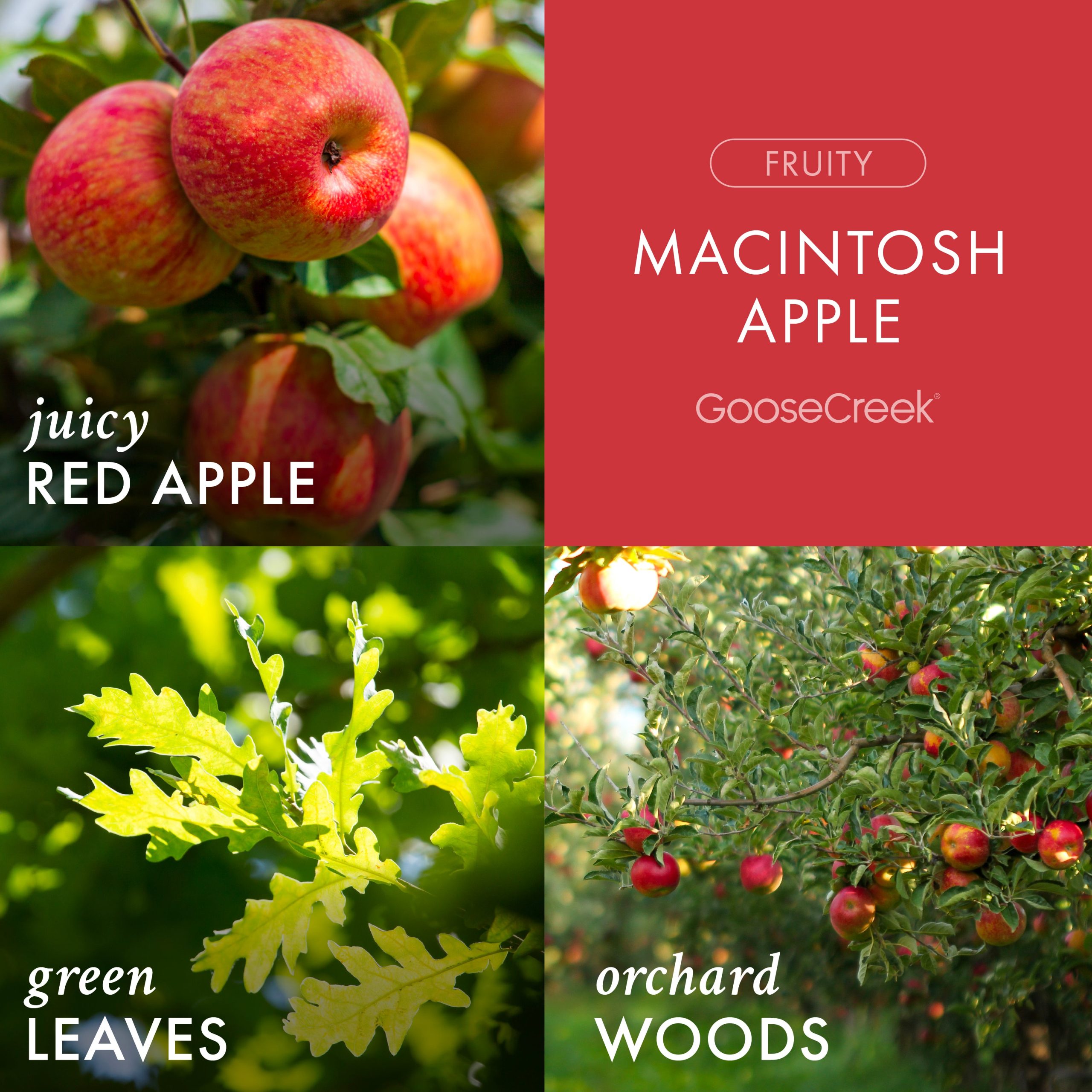 Macintosh Apple 3-Wick Candle - Image 2