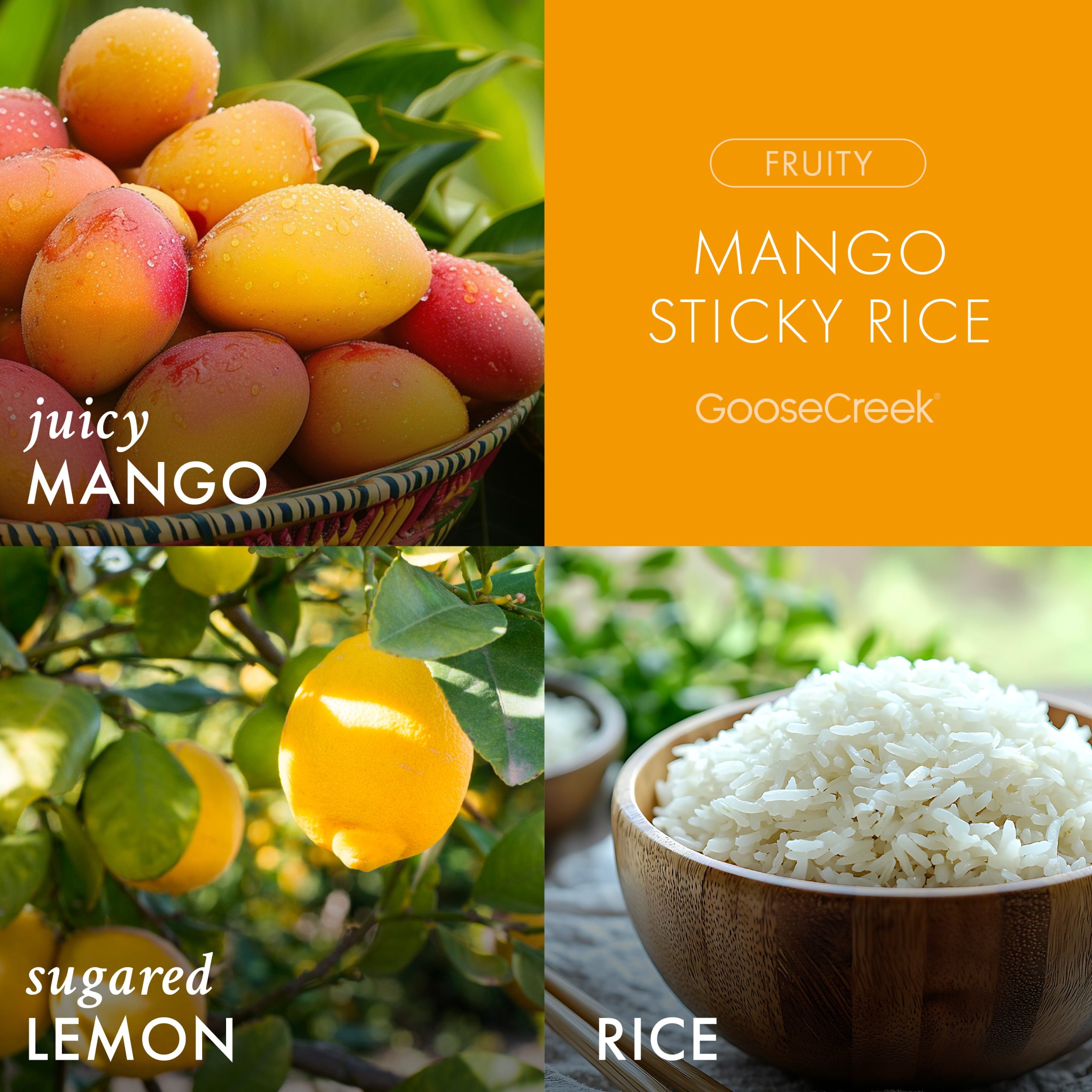 Mango Sticky Rice 3-Wick Candle - Image 2