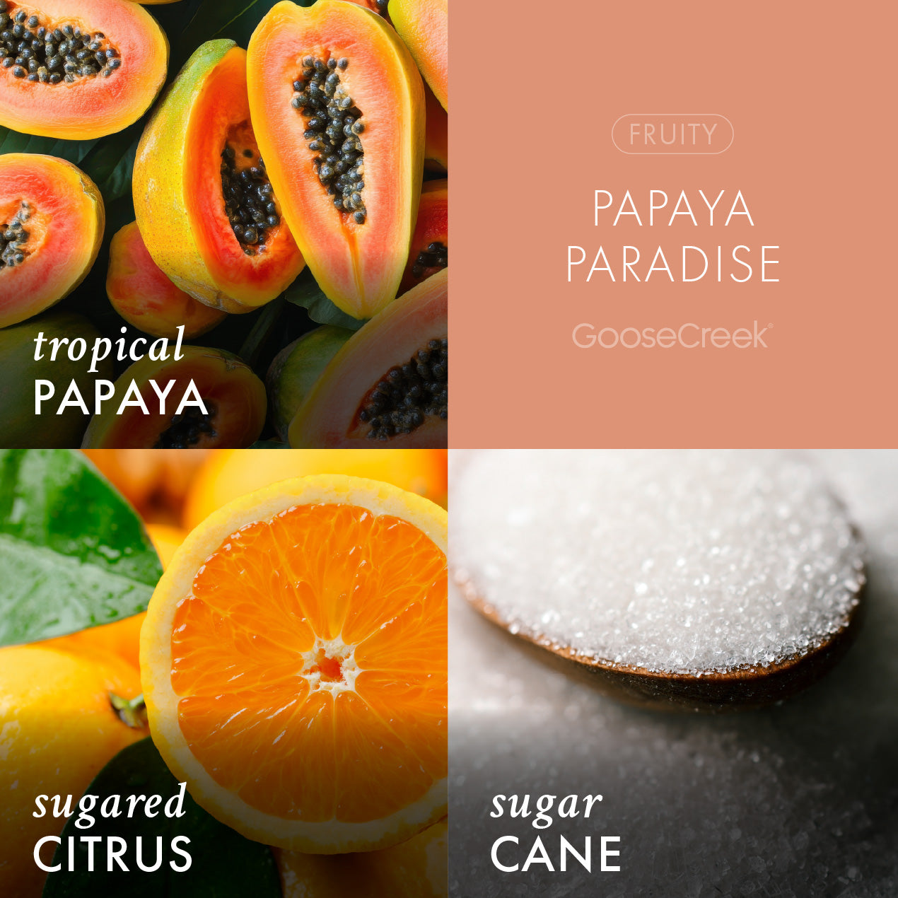 Papaya Paradise Wax Melt - Image 2