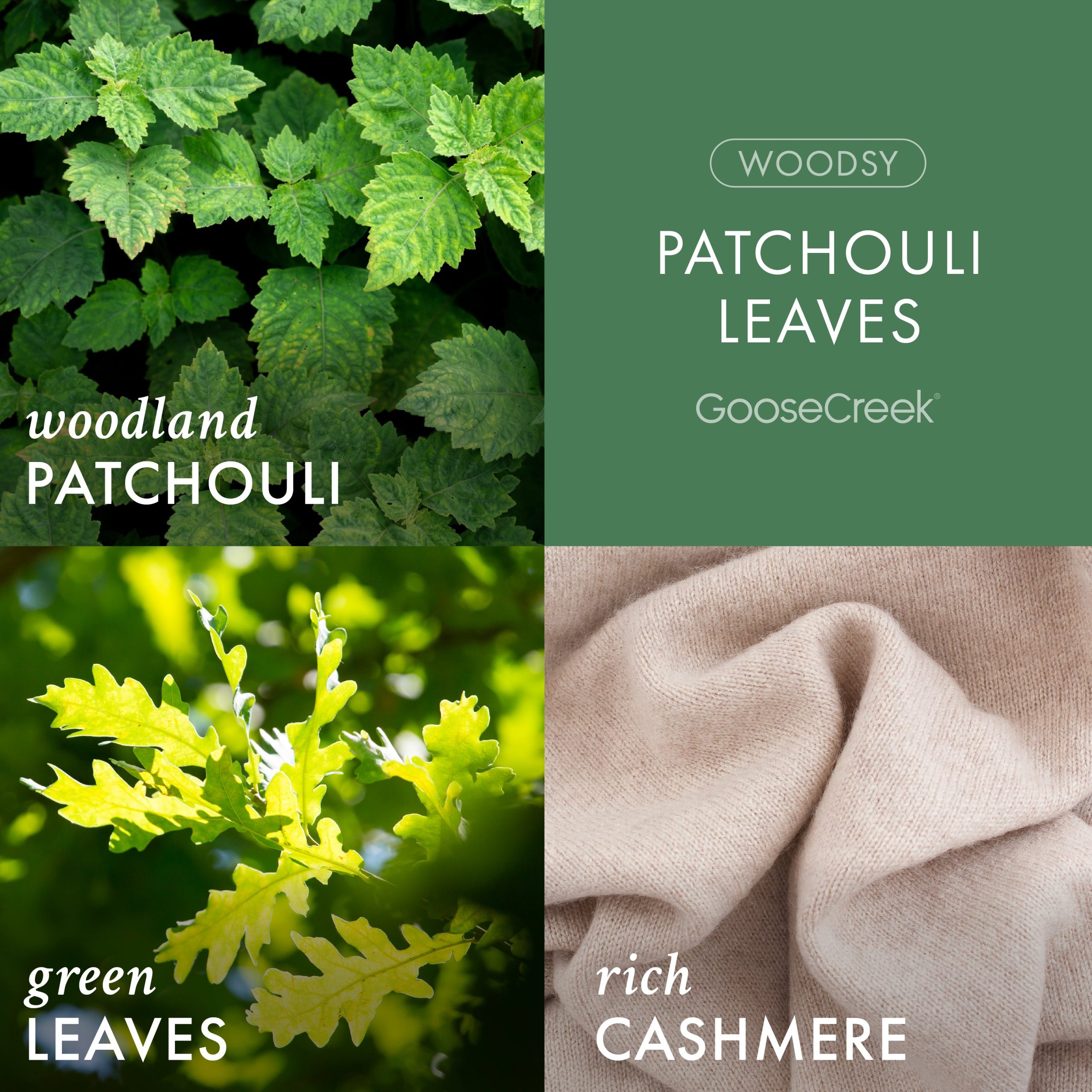 Patchouli Leaves 3-Wick Candle - Image 2