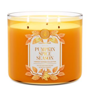 Pumpkin Spice Season 3-Wick Candle