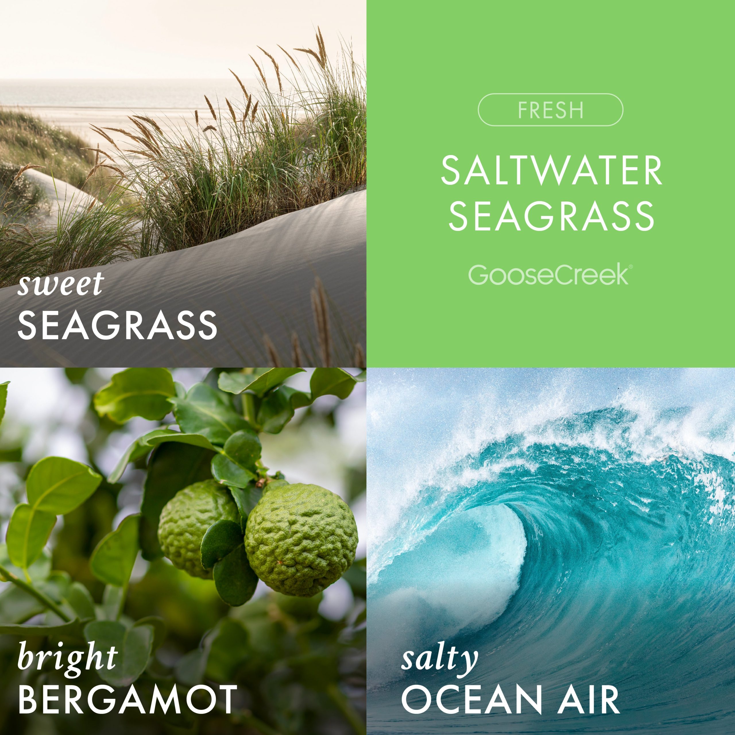 Saltwater Seagrass Plug-in Refill - Image 2