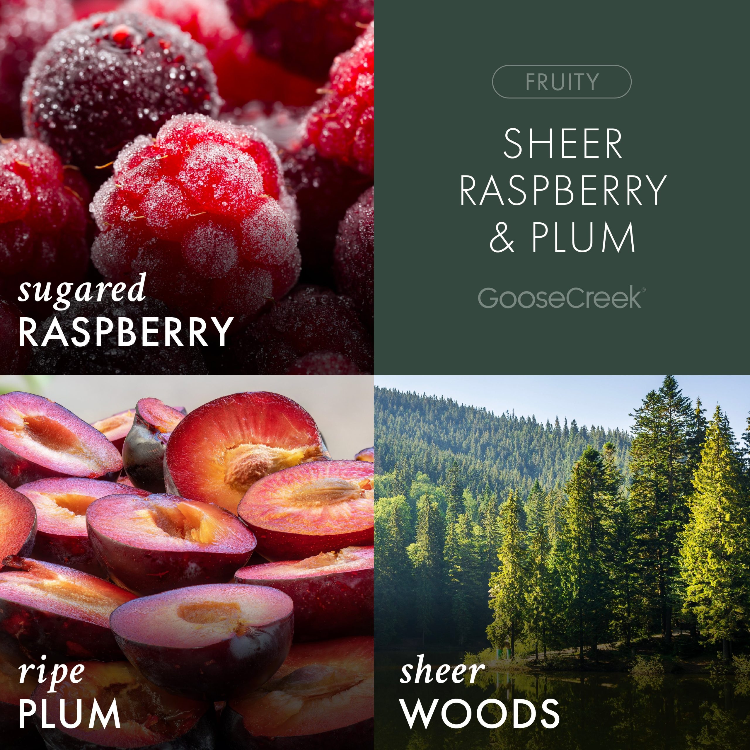 Sheer Raspberry & Plum Plug-in Refill - Image 2