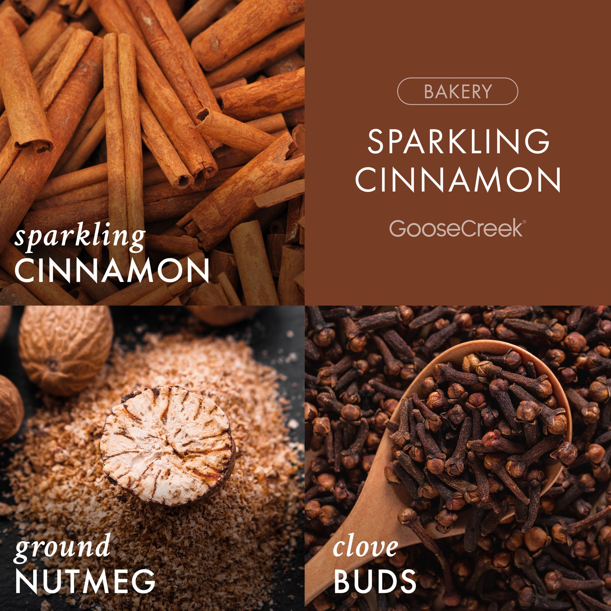 Sparkling Cinnamon Plug-in Refill - Image 2