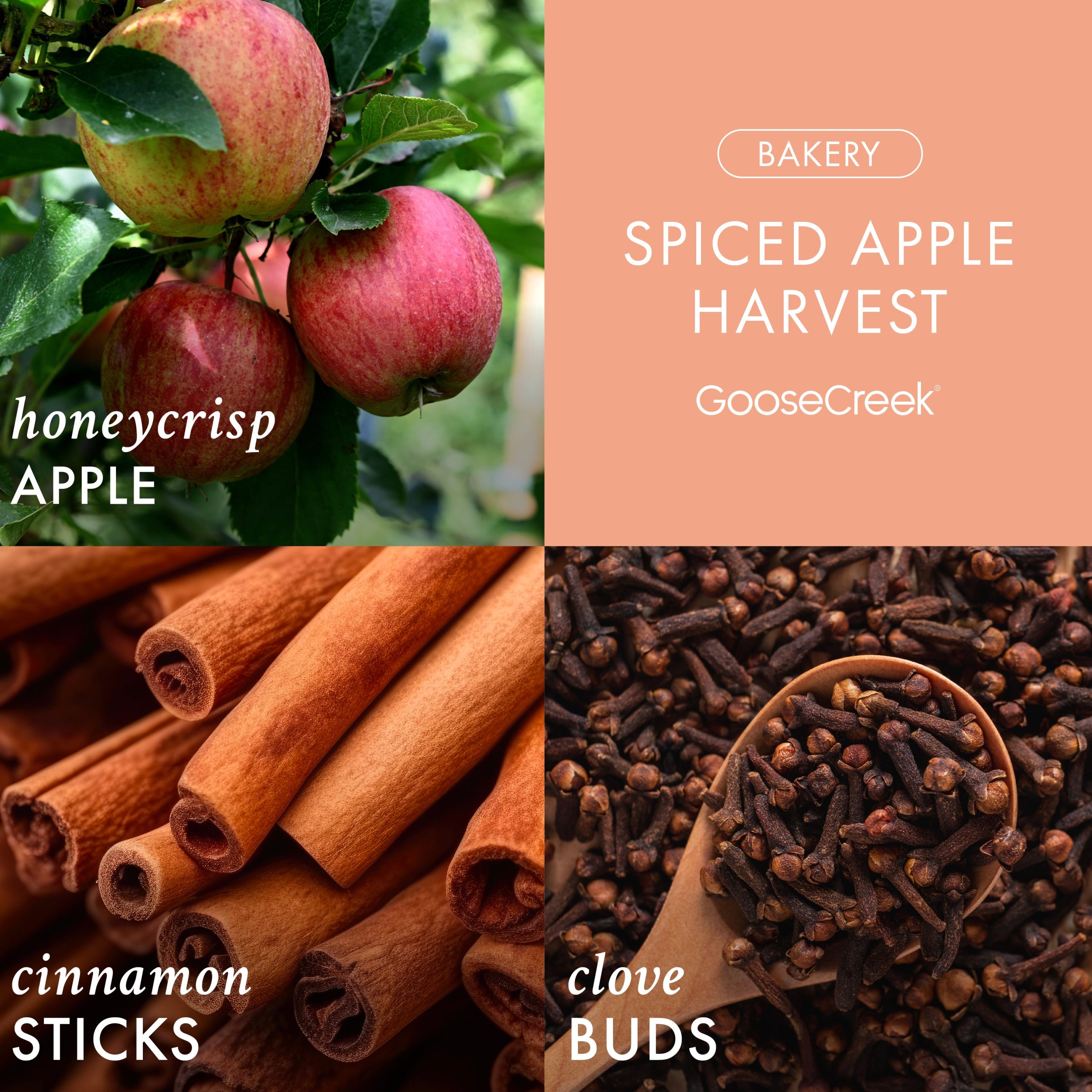 Spiced Apple Harvest 3-Wick Candle - Image 2