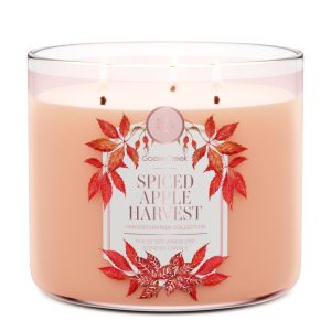 Spiced Apple Harvest 3-Wick Candle