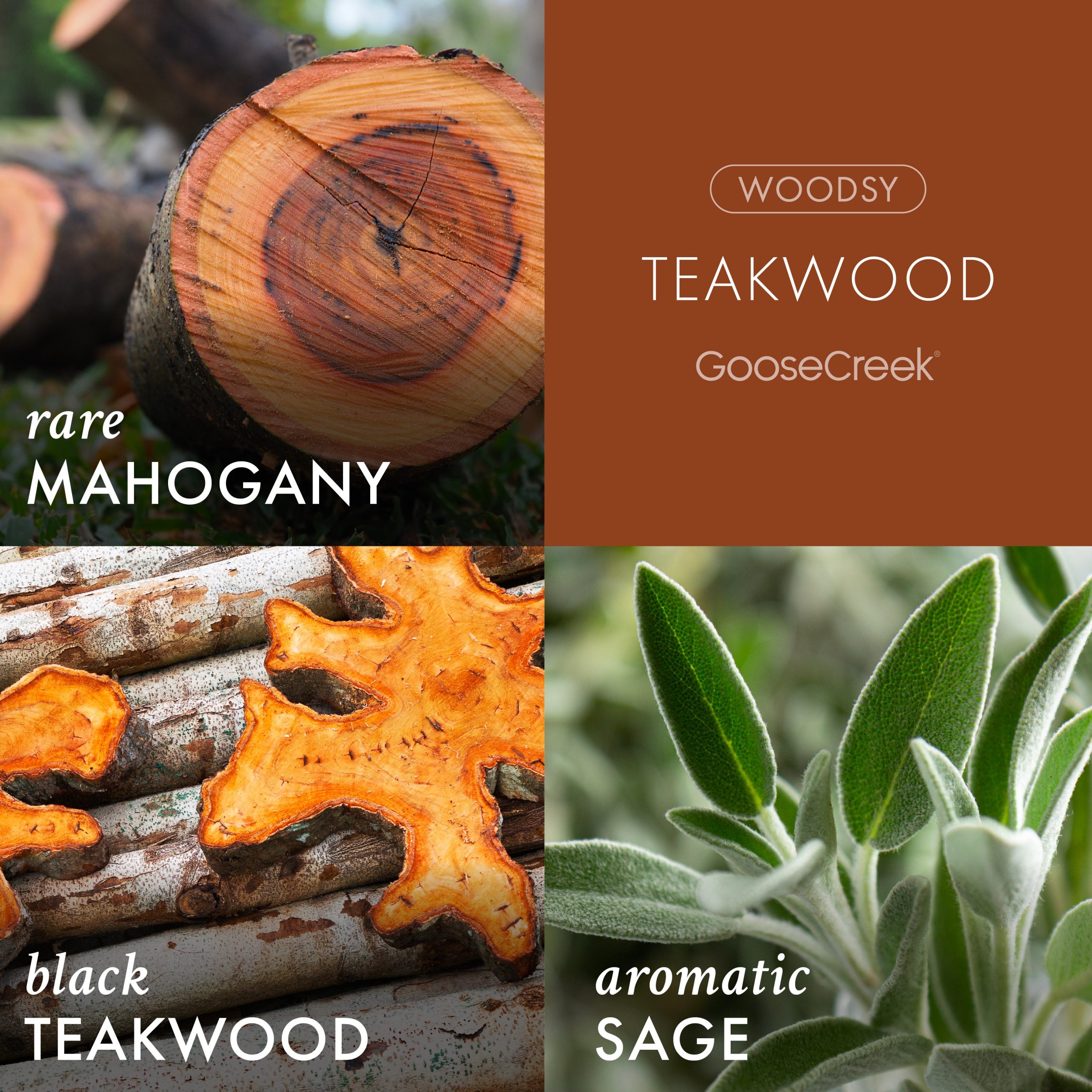 Teakwood Odor Eliminating 7oz Single Wick Candle - Image 2