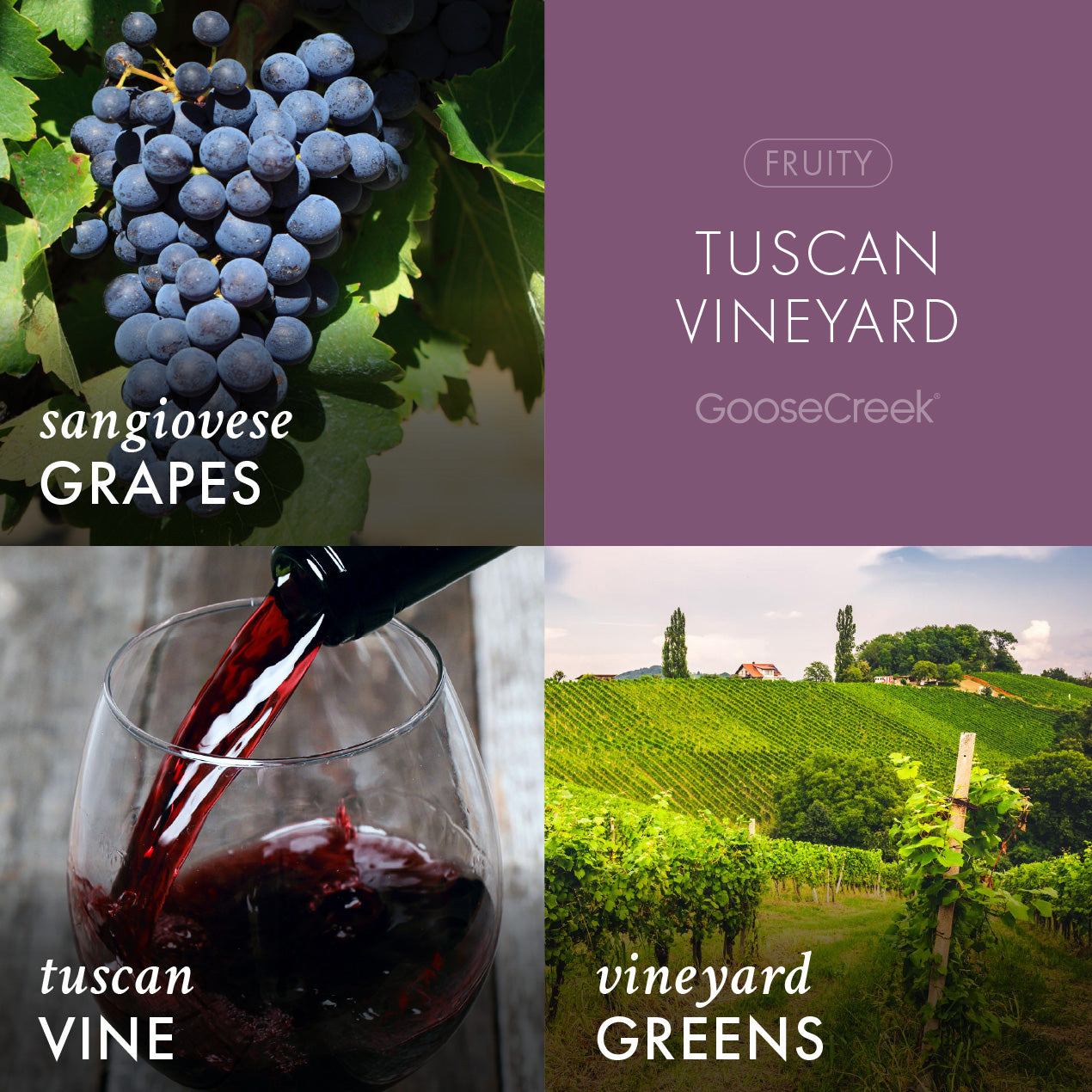 Tuscan Vineyard Wax Melt - Image 2