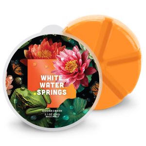 White Water Springs Wax Melt